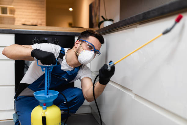 Best Best Pest Control Companies  in New Egypt, NJ