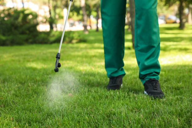 Best Flea Control Services  in New Egypt, NJ