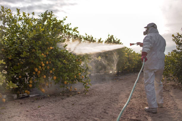 Best Best Pest Control Companies  in New Egypt, NJ