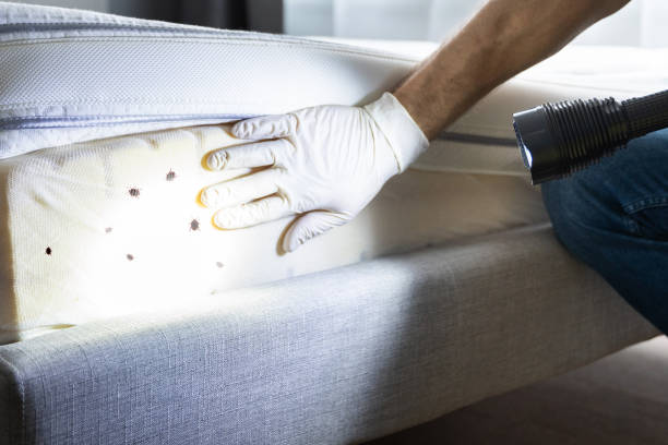 Best Rat Extermination Near Me  in New Egypt, NJ