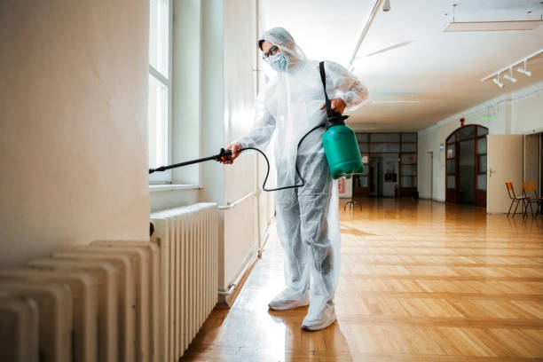 Best Local Pest Control Services  in New Egypt, NJ