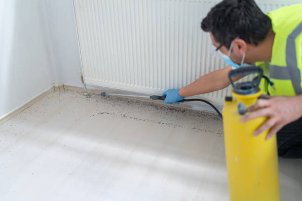 Best Commercial Pest Control Services  in New Egypt, NJ